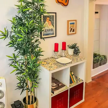 Praça Flores - Charming Typical Appartement